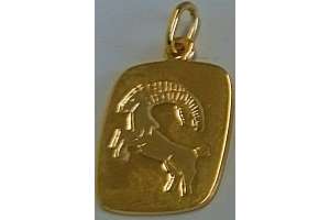 Anhänger Sternzeichen Steinbock Gelbgold 750