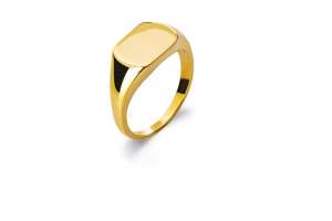 Siegel Ring  Gelbgold 750 poliert
