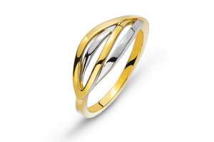 Ring Bicolor (Gelb-/Weissgold) 750