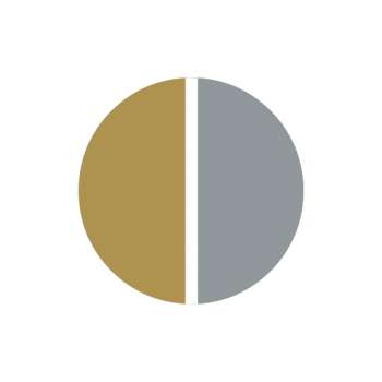 Bicolor (Gelb-/Weissgold) 375